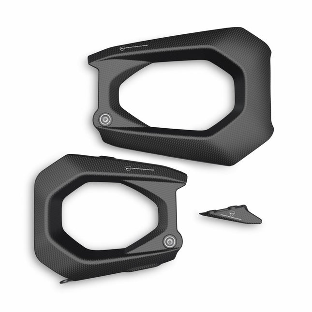 Panigale V4 Carbon Swingarm Guard - 96981811AA