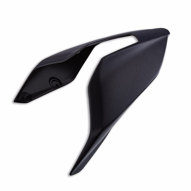 Panigale V4 Carbon Single-Seat Tail Guard - 96981941AA