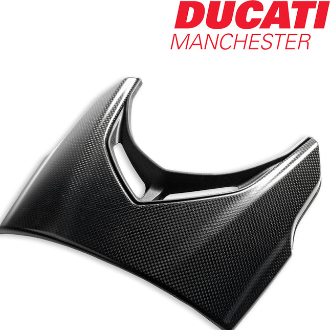 Ducati Diavel Carbon Headlight Frame