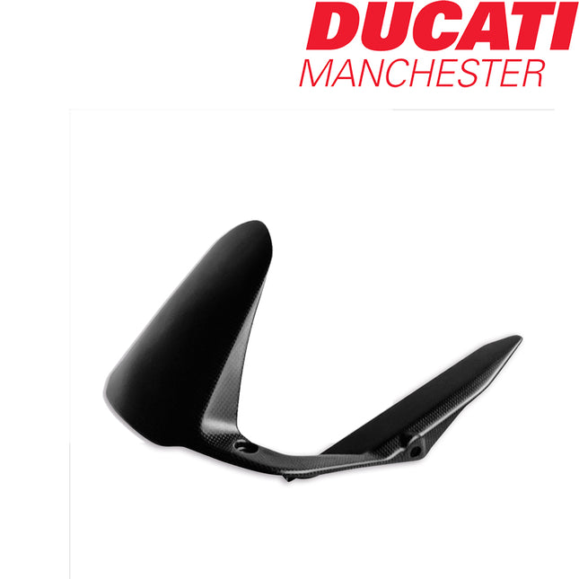 Ducati Carbon Rear Mudguard