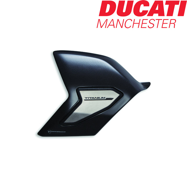 Ducati V4 / V4s Carbon Swingarm Guard