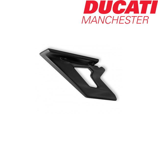 Ducati Lower Chain Guard